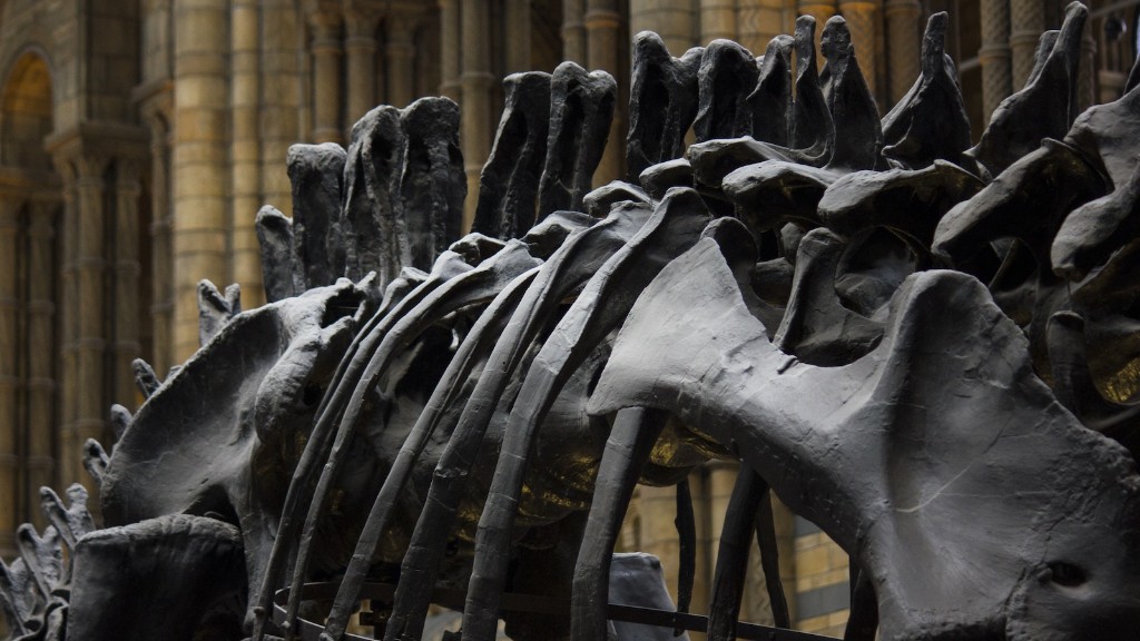 How Can Dinosaur Bones