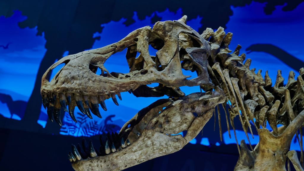 Why Are Some Dinosaur Bones Radioactive