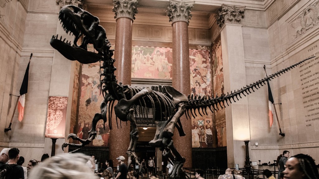 What Did Medieval Think Of Dinosaur Bones