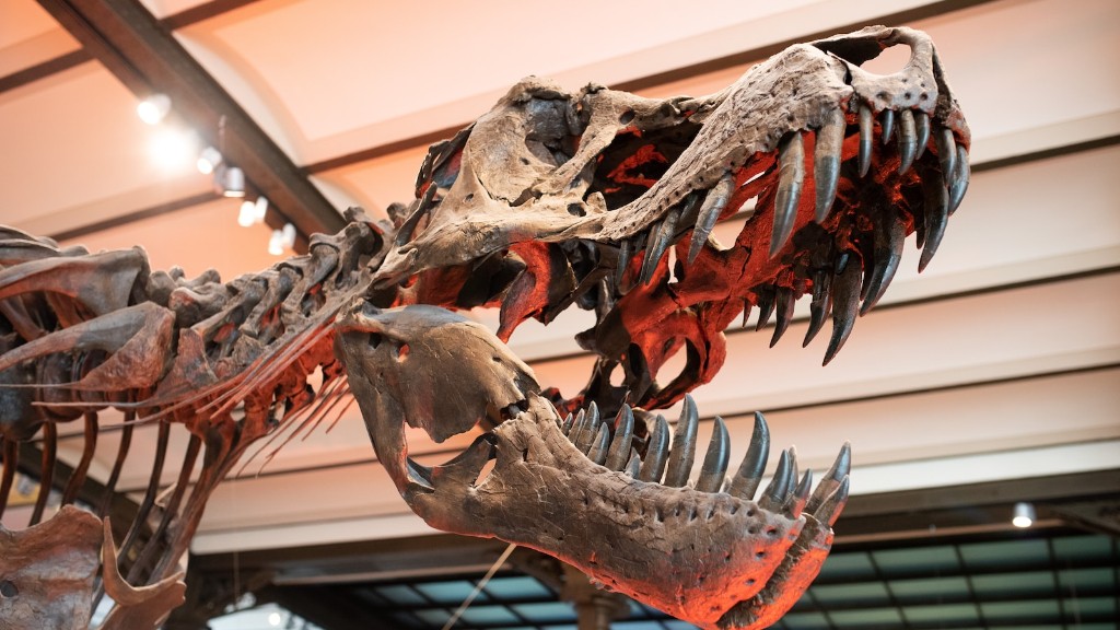 How Valuable Are Dinosaur Bones