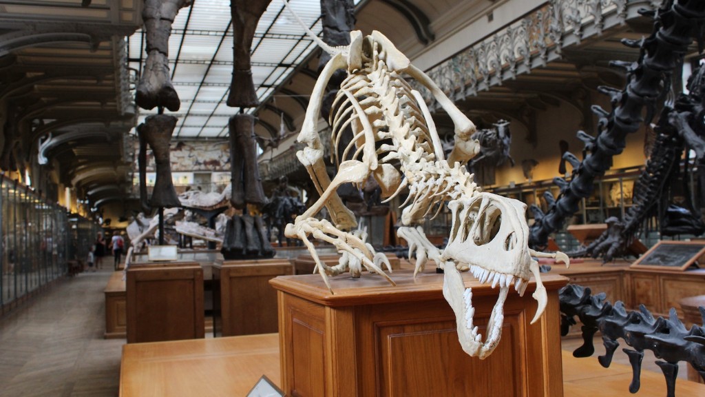 Are Fossil Dinosaur Bones Actually Made Of Bone