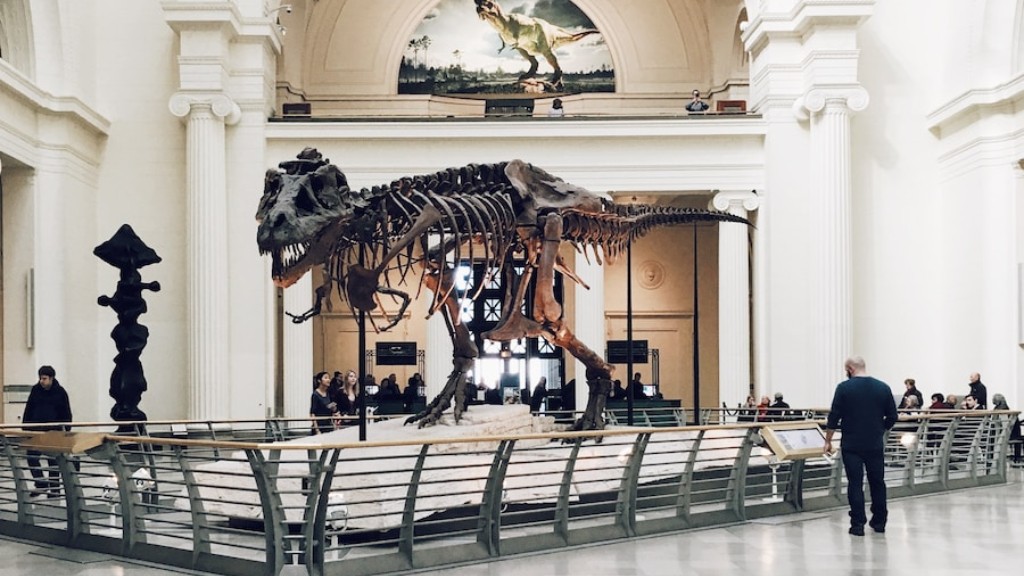 Are The Dinosaur Bones At The Melbourne Museum Real